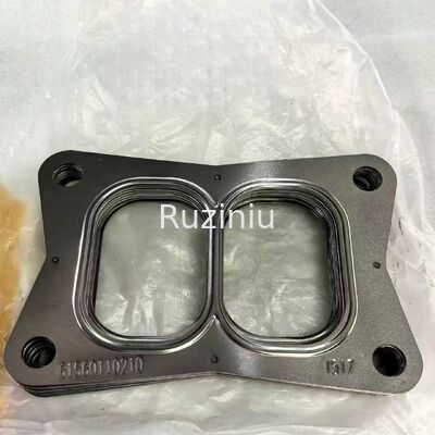 60125030 SANY Turboladerpakking